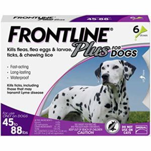 Frontline Plus for Dog