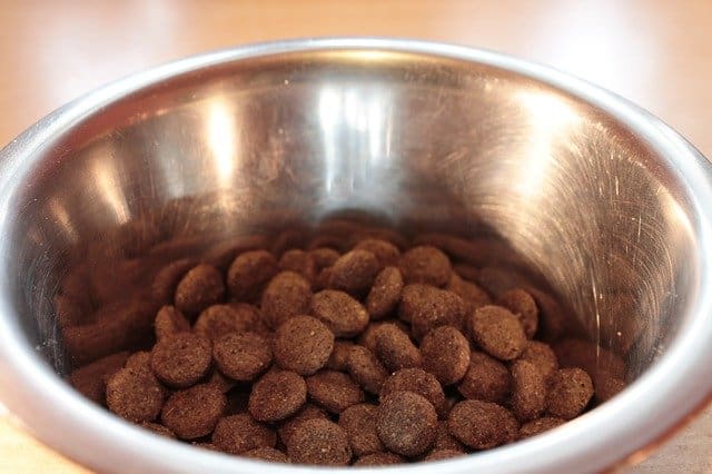 best dry puppy food you can but online