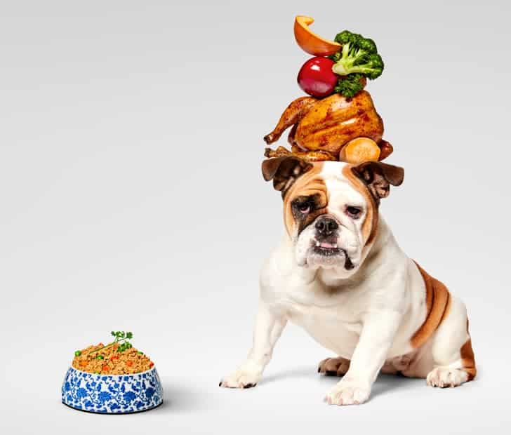 Human-grade ingredients for your dog