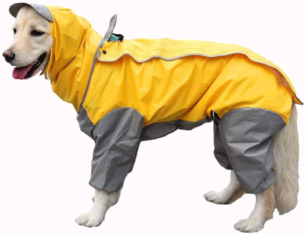 Best Raincoat for a Golden Retriever