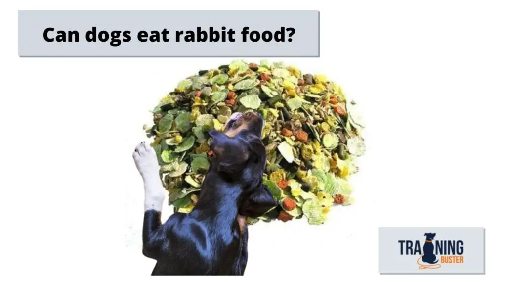Can dogs eat rabbit food