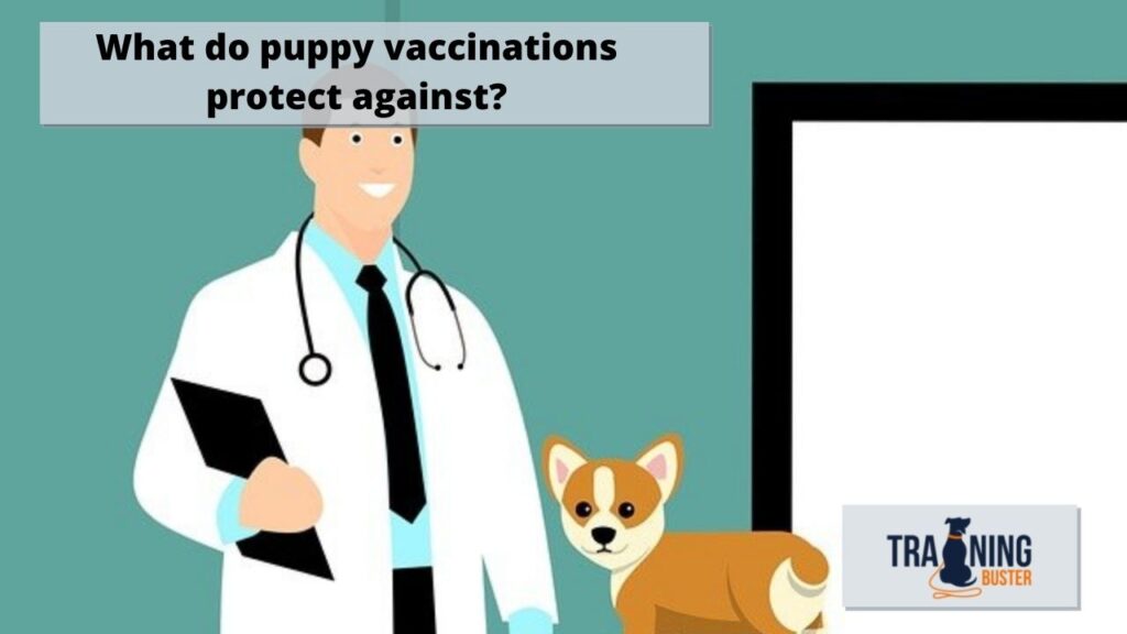 What do puppy vaccinations protect against?