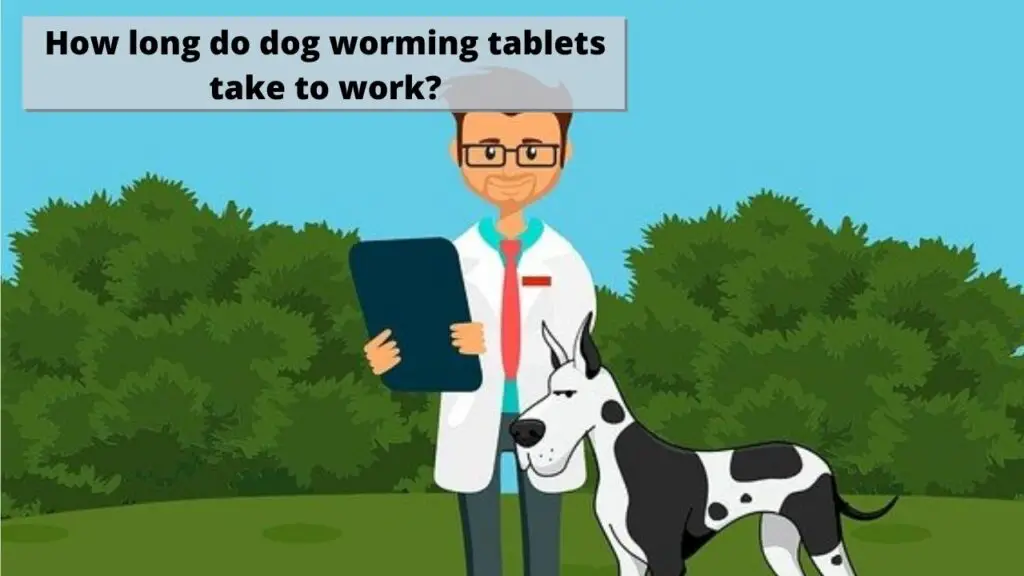 How long do dog worming tablets take to work?