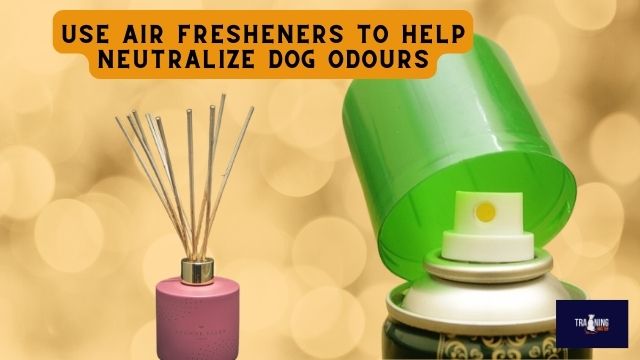 air fresheners or scented candles to help neutralize