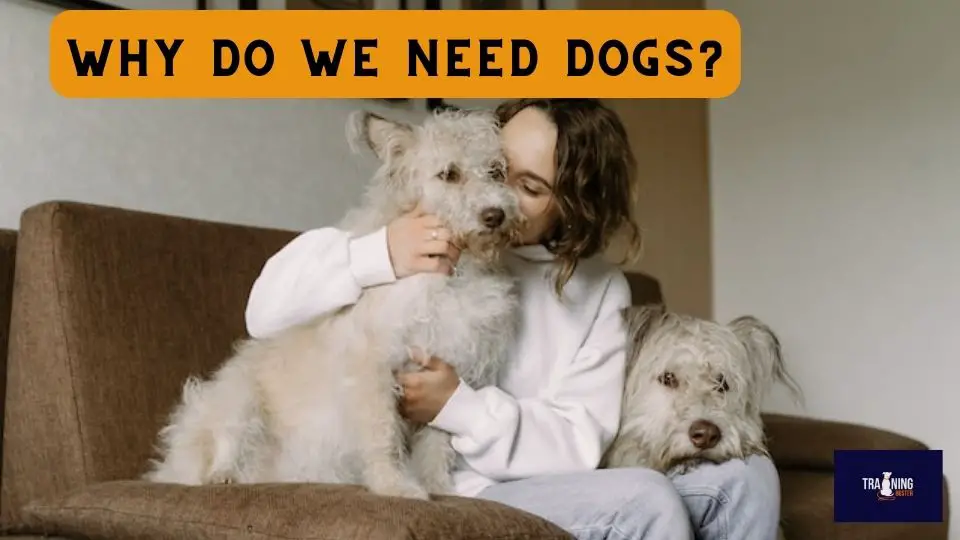 Why do we need dogs?