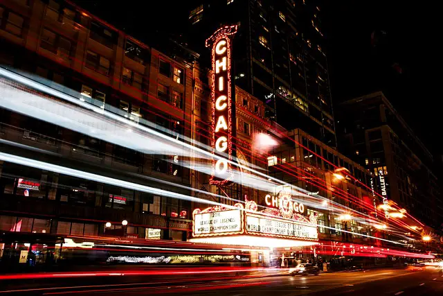 buses in Chicago dog travel