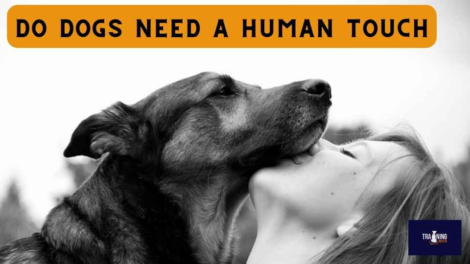 Do dogs need a human touch