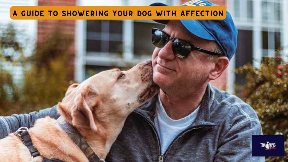 A Guide to Showering Your Dog with Affection